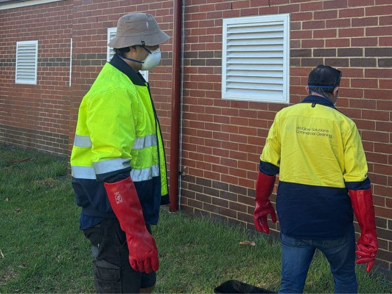 Brick & Stone Cleaning