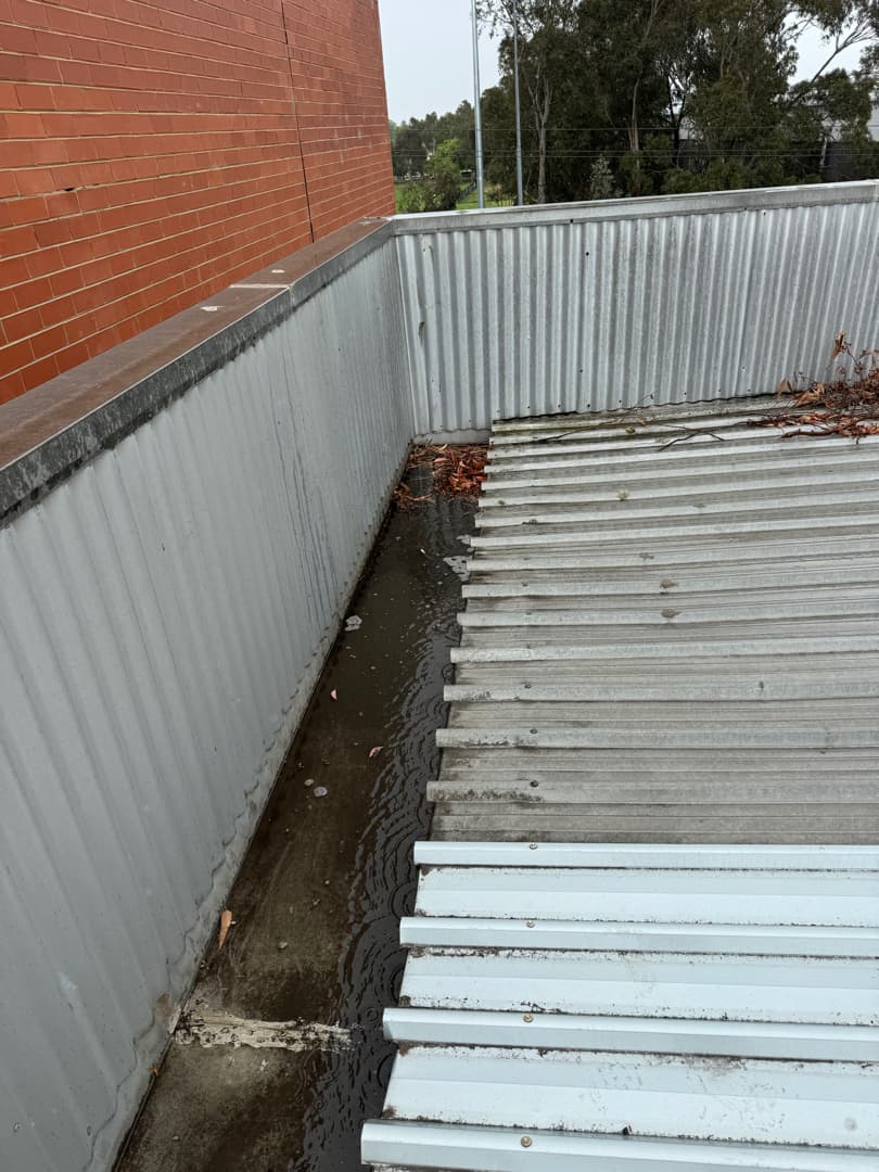 Before Gutter Cleaning